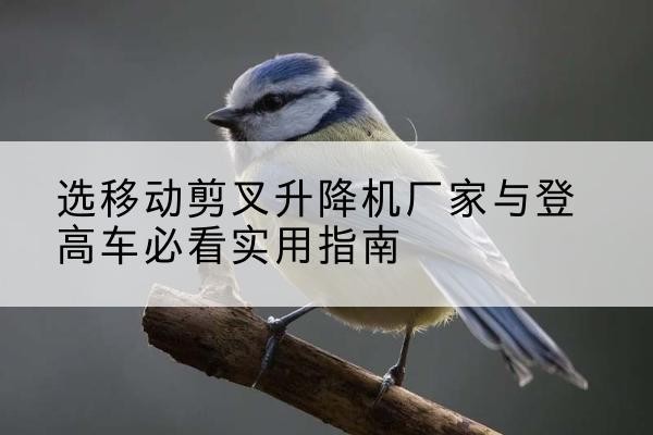 河津电动升降机厂家-选移动剪叉升降机厂家与登高车必看实用指南