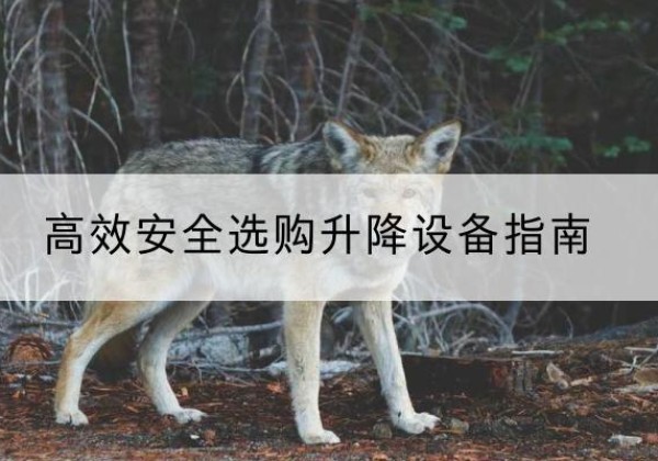 河津升降货梯厂家推荐-*安全选购升降设备指南