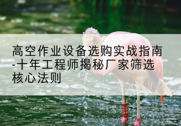 河津剪叉式升降机厂家-高空作业设备选购实战指南-十年工程师揭秘厂家筛选核心法则